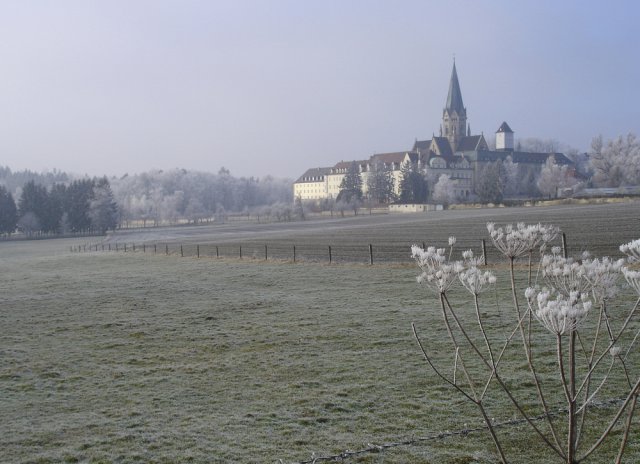 Große Darstellung des Bildes