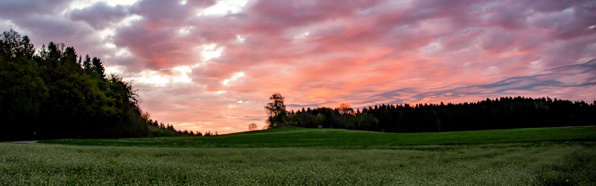 Morgenstimmung am Rußenberg